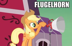 Size: 960x623 | Tagged: safe, applejack, earth pony, pony, female, flugelhorn, image macro, mare, solo