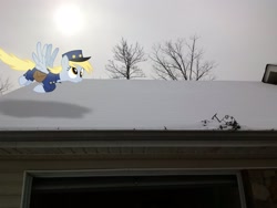 Size: 2592x1944 | Tagged: safe, artist:mahaugher, artist:tokkazutara1164, derpy hooves, pegasus, pony, cap, female, flying, hat, irl, mailpony, mare, photo, ponies in real life, snow, solo, vector