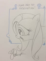 Size: 769x1024 | Tagged: safe, artist:andypriceart, fluttershy, insect, pegasus, pony, flea, solo, traditional art