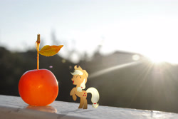 Size: 3872x2592 | Tagged: safe, artist:utterlyludicrous, applejack, earth pony, pony, apple, appletini, lens flare, ponies in real life, small, solo, vector