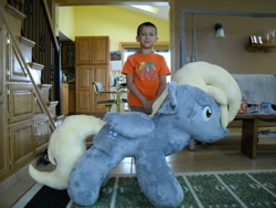 Size: 1024x768 | Tagged: safe, artist:xsjado78, derpy hooves, human, irl, irl human, photo, plushie