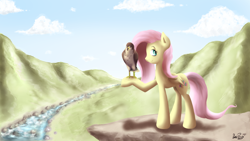 Size: 1280x720 | Tagged: safe, artist:datponypl, fluttershy, bird, pegasus, pony, animal, duo, falcon, peregrine falcon, river, scenery, stream, valley