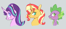 Size: 1300x584 | Tagged: safe, artist:xenon, spike, starlight glimmer, sunset shimmer, dragon, pony, unicorn, :t, blushing, bust, curved horn, eyelashes, fangs, female, gray background, lidded eyes, looking at you, looking back, male, mare, simple background, smiling, trio