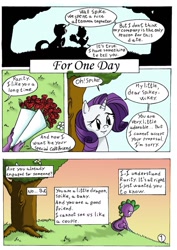 Size: 1024x1446 | Tagged: safe, artist:crazydiary86, rarity, spike, dragon, pony, unicorn, bouquet, comic, female, for one day, friendzone, heartbreak, male, sad, ship sinking, shipping, shipping denied, sparity but not sparity, straight, sunset