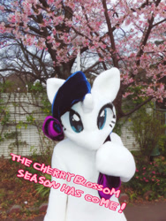 Size: 750x1000 | Tagged: safe, artist:girlieginger, rarity, human, cosplay, fursuit, irl, irl human, photo, solo