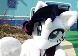 Size: 800x579 | Tagged: safe, artist:girlieginger, rarity, human, cosplay, fursuit, irl, irl human, photo, solo