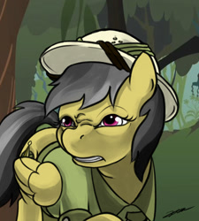 Size: 800x889 | Tagged: safe, artist:gasmaskfox, daring do, daring don't, bear grylls, better drink my own piss, dare grylls, image macro, solo