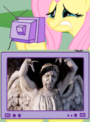 Size: 563x771 | Tagged: safe, fluttershy, pegasus, pony, doctor who, exploitable, exploitable meme, meme, obligatory pony, tv meme, weeping angel