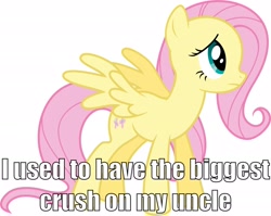 Size: 2508x1993 | Tagged: safe, fluttershy, pegasus, pony, fanfic:bittersweet, image macro, incest, rainbow dash presents, solo, youtube link