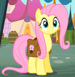 Size: 529x540 | Tagged: safe, screencap, fluttershy, pegasus, pony, putting your hoof down, animated, saddle bag, solo