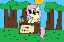 Size: 1098x727 | Tagged: safe, artist:thesontendo, fluttershy, pegasus, pony, bits, booth, hug, solo