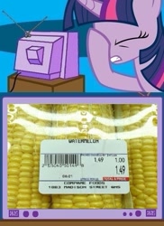 Size: 561x771 | Tagged: safe, derpibooru import, twilight sparkle, corn, epic fail, exploitable meme, facehoof, fail, meme, seems legit, tv meme, watermelon, you had one job