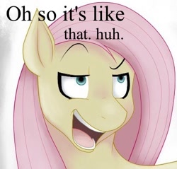 Size: 392x375 | Tagged: safe, artist:rosewhistle, edit, fluttershy, pegasus, pony, dreamworks face, solo, text