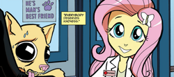 Size: 679x301 | Tagged: safe, idw, fluttershy, dog, equestria girls, spoiler:comic