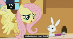 Size: 573x309 | Tagged: safe, screencap, angel bunny, fluttershy, pegasus, pony, keep calm and flutter on, capitalist, element of kindness, elements of harmony, hub logo, meme, necklace, tv rating, youtube caption