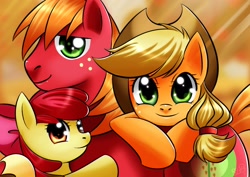 Size: 2400x1700 | Tagged: safe, artist:princesssilverglow, apple bloom, applejack, big macintosh, earth pony, pony, apple siblings, family photo, male, stallion