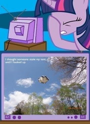 Size: 561x771 | Tagged: safe, derpibooru import, twilight sparkle, epic fail, exploitable meme, facehoof, fail, meme, sky, tent, tv meme