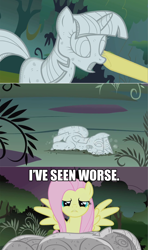 Size: 1024x1728 | Tagged: safe, derpibooru import, fluttershy, twilight sparkle, pegasus, pony, image macro, statue, the princess bride