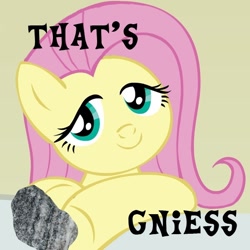 Size: 600x600 | Tagged: safe, fluttershy, pegasus, pony, artifact, caption, geology, gneiss, image macro, misspelling, pun, rock, rock pun, solo, that's nice