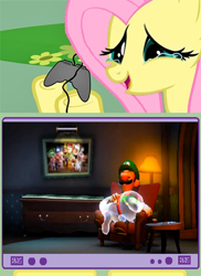 Size: 400x548 | Tagged: safe, fluttershy, pegasus, pony, exploitable meme, fluttercry, happy fluttercry, luigi, luigi's mansion, luigi's mansion: dark moon, mario, meme, nintendo, obligatory pony, picture frame, polterpup, professor e. gadd, sleeping, super mario bros., tv meme, video game