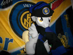 Size: 800x600 | Tagged: artist needed, safe, derpy hooves, pegasus, pony, clothes, female, football, inter milan, irl, mare, photo, plushie, scarf