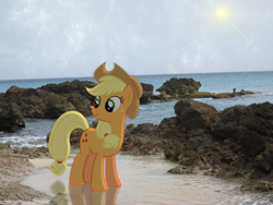 Size: 1032x774 | Tagged: safe, artist:rdbrony16, applejack, earth pony, pony, beach, ponies in real life, solo