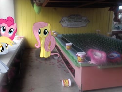 Size: 2048x1536 | Tagged: safe, artist:orschmann, artist:shelmo69, artist:takua770, artist:tokkazutara1164, derpy hooves, fluttershy, pinkie pie, pegasus, pony, :t, bottle, bucket, female, game, irl, mare, photo, ponies in real life, ring toss, shadow, stick, vector