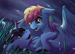 Size: 1920x1400 | Tagged: safe, artist:28gooddays, derpibooru import, rainbow dash, oc, oc:night rain, pegasus, pony, unicorn, canon x oc, cuddling, dashrain, female, grass, lying, lying in grass, male, mare, night, shipping, shooting star, stallion, stars