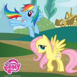 Size: 334x334 | Tagged: safe, derpibooru import, fluttershy, rainbow dash, pegasus, pony, duo, my little pony logo, official, stock vector