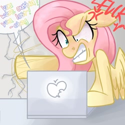 Size: 1500x1500 | Tagged: artist needed, safe, fluttershy, pegasus, pony, computer, ebay, flutterrage, solo, vulgar