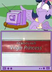 Size: 1022x1400 | Tagged: safe, derpibooru import, twilight sparkle, twilight sparkle (alicorn), alicorn, pony, exploitable meme, female, mare, train, tv meme