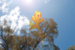 Size: 3872x2592 | Tagged: safe, artist:utterlyludicrous, applejack, earth pony, pony, falling, lens flare, ponies in real life, solo, sun, tree, vector