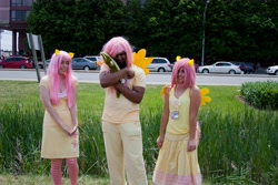 Size: 4272x2848 | Tagged: safe, fluttershy, human, cosplay, irl, irl human, photo