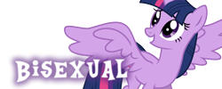 Size: 500x200 | Tagged: safe, derpibooru import, twilight sparkle, twilight sparkle (alicorn), alicorn, pony, bi twi, bilight sparkle, bisexuality, female, mare, meta, simple background, solo, white background