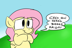 Size: 1280x853 | Tagged: safe, artist:benja, fluttershy, pegasus, pony, ask-ask-the-ponies, solo, spanish, translated in the comments