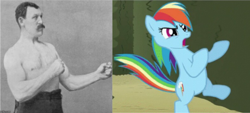 Size: 1082x491 | Tagged: safe, derpibooru import, rainbow dash, pegasus, pony, boxer, cute, fight, fighting stance, meme, mike conley, mike conley (boxer), overly manly man