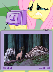 Size: 566x770 | Tagged: safe, fluttershy, pegasus, pony, exploitable meme, fluttercry, meme, moro, obligatory pony, okkotonushi, princess mononoke, sad, shishigami, tearjerker, tv meme