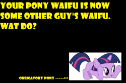 Size: 737x485 | Tagged: safe, derpibooru import, twilight sparkle, filly, meme, obligatory pony, text, text only, waifu, what do, yellow words