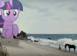 Size: 495x361 | Tagged: safe, derpibooru import, twilight sparkle, horse, charlton heston, nova, planet of the apes