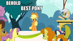 Size: 960x540 | Tagged: safe, edit, edited screencap, screencap, applejack, bon bon, caramel, carrot top, golden harvest, lemon hearts, mayor mare, parasol, sweetie drops, earth pony, pony, the last roundup, behold, best pony, facts, image macro