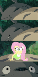 Size: 1200x2442 | Tagged: safe, edit, fluttershy, equestria girls, bed meme, crossover, exploitable meme, hape, happyshy, hayao miyazaki, hug, imma snuggle you, meme, morning after, my neighbor totoro, this will end in tears, totoro