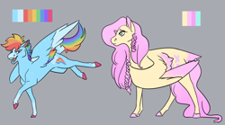 Size: 9512x5300 | Tagged: safe, artist:nightshadetheranger, derpibooru import, fluttershy, rainbow dash, pegasus, pony, absurd resolution, colored wings, multicolored wings, reference sheet