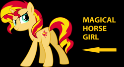 Size: 1570x854 | Tagged: safe, sunset shimmer, pony, unicorn, equestria girls, black background, looking at you, plot, simple background, solo, text, truth