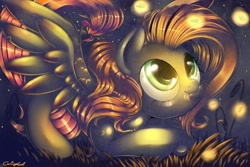 Size: 3000x2000 | Tagged: safe, artist:carligercarl, fluttershy, firefly (insect), pegasus, pony, grass, licking, licking lips, night, solo, tongue out