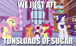 Size: 464x284 | Tagged: safe, apple bloom, fluttershy, rarity, scootaloo, sweetie belle, pegasus, pony, unicorn, cutie mark crusaders, image macro, meme