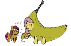 Size: 840x541 | Tagged: safe, fluttershy, scootaloo, pegasus, pony, banana, banana suit, rubber chicken, scootabuse