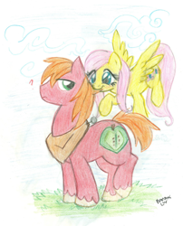 Size: 1856x2296 | Tagged: safe, artist:banami-luv, big macintosh, fluttershy, earth pony, pegasus, pony, fluttermac, flying, frown, hair pulling, male, nom, question mark, raised leg, shipping, smiling, spread wings, stallion, straight, traditional art