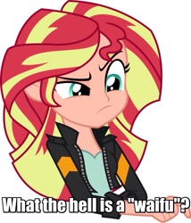 Size: 876x1024 | Tagged: safe, artist:sketchmcreations, edit, editor:theabridgenator, sunset shimmer, equestria girls, friendship games, clothes, human coloration, image macro, irony, jacket, leather jacket, meme, photoshop, pondering, raised eyebrow, simple background, solo, transparent background, upper body, vector, waifu