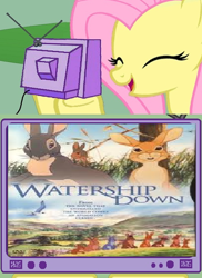 Size: 506x694 | Tagged: safe, fluttershy, pegasus, pony, exploitable meme, fs doesn't know what she's getting into, meme, obligatory pony, this will end in tears, tv meme, watership down