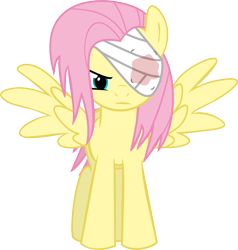 Size: 678x711 | Tagged: safe, artist:heavyecho, fluttershy, pegasus, pony, bandage, female, mare, pink mane, yellow coat